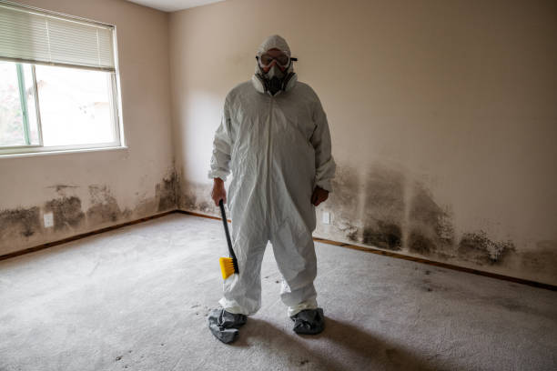Best Residential Mold Remediation in North Charleston, SC